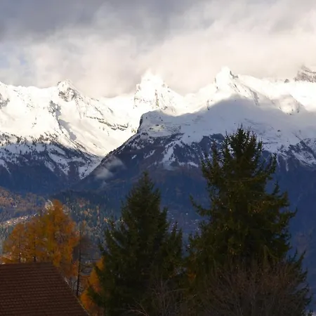 Σαλέ Les 2 Sabots Nendaz